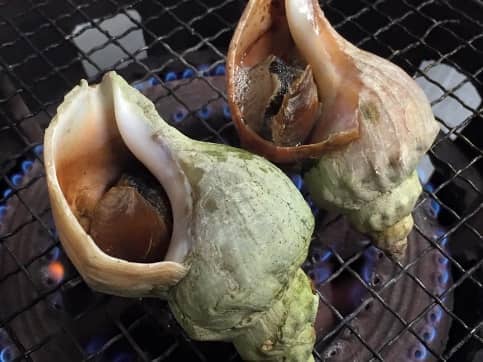 焼きツブ（青つぶ貝）