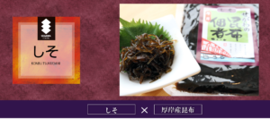 瀬川食品 －Segawa Foods－北海道の食の恵み厚岸,アッケシ,昆布巻,佃煮