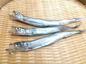 瀬川食品 －Segawa Foods－北海道の食の恵み厚岸,アッケシ,昆布巻,佃煮
