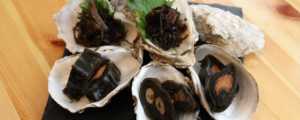 瀬川食品 －Segawa Foods－北海道の食の恵み厚岸,アッケシ,昆布巻,佃煮
