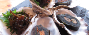 瀬川食品 －Segawa Foods－北海道の食の恵み厚岸,アッケシ,昆布巻,佃煮