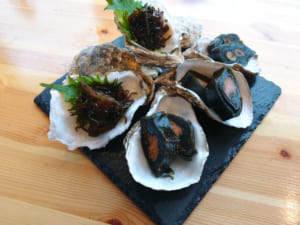 瀬川食品 －Segawa Foods－北海道の食の恵み厚岸,アッケシ,昆布巻,佃煮